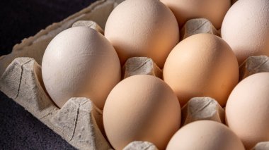 Sıraya dizilmiş kahverengi yumurtalar. Karton kasette bir grup taze beyaz yumurta. Doğadan gelen organik gıdalar sağlık için iyidir..