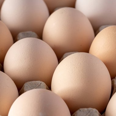 Sıraya dizilmiş kahverengi yumurtalar. Karton kasette bir grup taze beyaz yumurta. Doğadan gelen organik gıdalar sağlık için iyidir..
