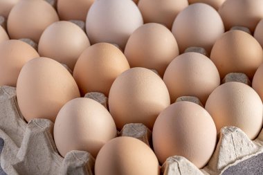 Sıraya dizilmiş kahverengi yumurtalar. Karton kasette bir grup taze beyaz yumurta. Doğadan gelen organik gıdalar sağlık için iyidir..