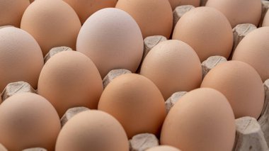 Sıraya dizilmiş kahverengi yumurtalar. Karton kasette bir grup taze beyaz yumurta. Doğadan gelen organik gıdalar sağlık için iyidir..