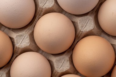 Sıraya dizilmiş kahverengi yumurtalar. Karton kasette bir grup taze beyaz yumurta. Doğadan gelen organik gıdalar sağlık için iyidir..