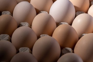 Sıraya dizilmiş kahverengi yumurtalar. Karton kasette bir grup taze beyaz yumurta. Doğadan gelen organik gıdalar sağlık için iyidir..