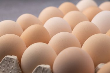 Sıraya dizilmiş kahverengi yumurtalar. Karton kasette bir grup taze beyaz yumurta. Doğadan gelen organik gıdalar sağlık için iyidir..