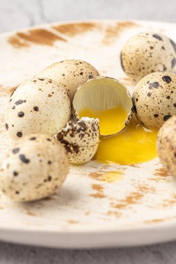 Easter quail eggs.  Spring background with small easter quail eggs. Vintage photo processing