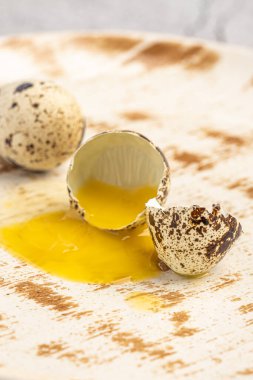 Easter quail eggs.  Spring background with small easter quail eggs. Vintage photo processing