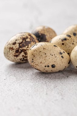 Easter quail eggs.  Spring background with small easter quail eggs. Vintage photo processing