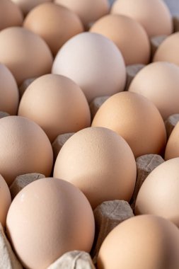 Sıraya dizilmiş kahverengi yumurtalar. Karton kasette bir grup taze beyaz yumurta. Doğadan gelen organik gıdalar sağlık için iyidir..