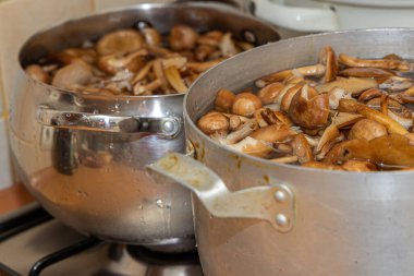 Seramik tabakta lezzetli ballı mantarlar. Kasede bal mantarı (Armillaria mellea) mantarları var. Seçici odaklanma. Yüzeyin derinliği. Tencerede mantarlar..