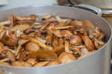 Seramik tabakta lezzetli ballı mantarlar. Kasede bal mantarı (Armillaria mellea) mantarları var. Seçici odaklanma. Yüzeyin derinliği. Tencerede mantarlar..