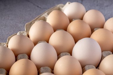 Sıraya dizilmiş kahverengi yumurtalar. Karton kasette bir grup taze beyaz yumurta. Doğadan gelen organik gıdalar sağlık için iyidir..