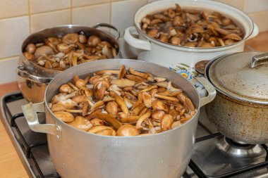 Seramik tabakta lezzetli ballı mantarlar. Kasede bal mantarı (Armillaria mellea) mantarları var. Seçici odaklanma. Yüzeyin derinliği. Tencerede mantarlar..