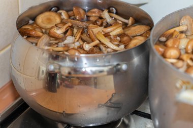 Seramik tabakta lezzetli ballı mantarlar. Kasede bal mantarı (Armillaria mellea) mantarları var. Seçici odaklanma. Yüzeyin derinliği. Tencerede mantarlar..