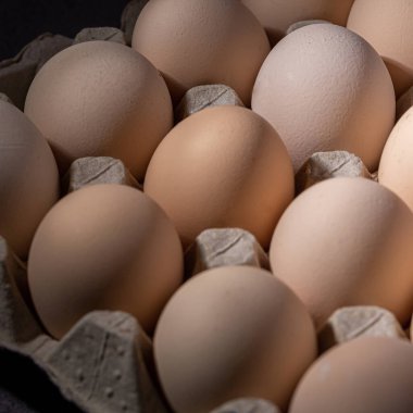 Sıraya dizilmiş kahverengi yumurtalar. Karton kasette bir grup taze beyaz yumurta. Doğadan gelen organik gıdalar sağlık için iyidir..