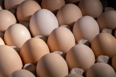 Sıraya dizilmiş kahverengi yumurtalar. Karton kasette bir grup taze beyaz yumurta. Doğadan gelen organik gıdalar sağlık için iyidir..