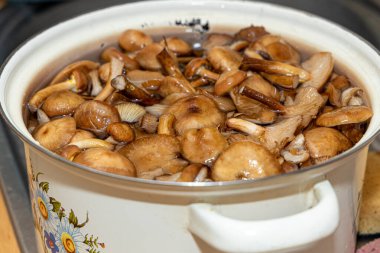 Seramik tabakta lezzetli ballı mantarlar. Kasede bal mantarı (Armillaria mellea) mantarları var. Seçici odaklanma. Yüzeyin derinliği. Tencerede mantarlar..