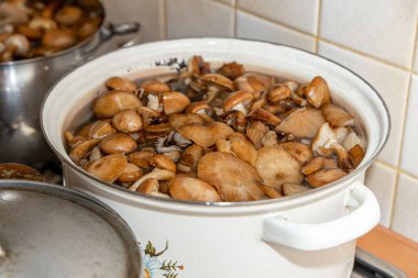 Seramik tabakta lezzetli ballı mantarlar. Kasede bal mantarı (Armillaria mellea) mantarları var. Seçici odaklanma. Yüzeyin derinliği. Tencerede mantarlar..