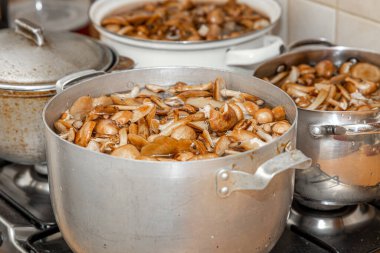 Seramik tabakta lezzetli ballı mantarlar. Kasede bal mantarı (Armillaria mellea) mantarları var. Seçici odaklanma. Yüzeyin derinliği. Tencerede mantarlar..