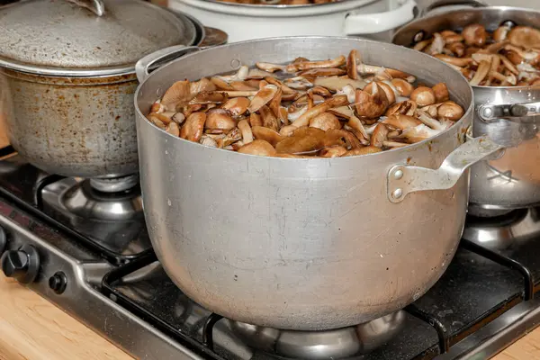 Seramik tabakta lezzetli ballı mantarlar. Kasede bal mantarı (Armillaria mellea) mantarları var. Seçici odaklanma. Yüzeyin derinliği. Tencerede mantarlar..