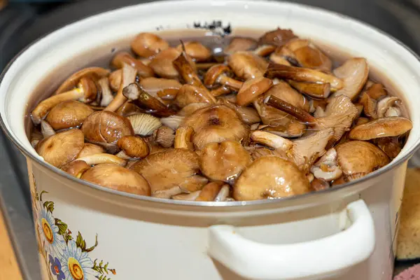 Seramik tabakta lezzetli ballı mantarlar. Kasede bal mantarı (Armillaria mellea) mantarları var. Seçici odaklanma. Yüzeyin derinliği. Tencerede mantarlar..