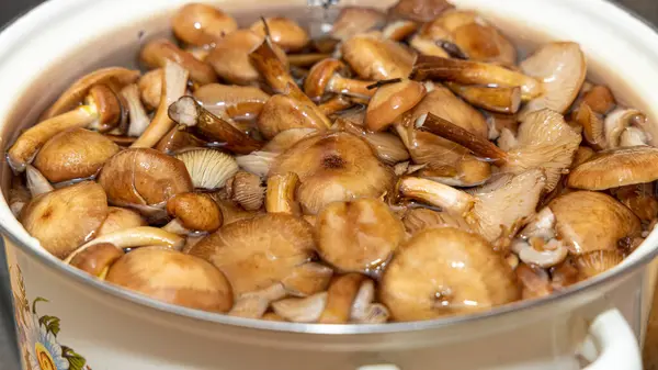 Seramik tabakta lezzetli ballı mantarlar. Kasede bal mantarı (Armillaria mellea) mantarları var. Seçici odaklanma. Yüzeyin derinliği. Tencerede mantarlar..