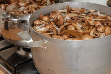 Seramik tabakta lezzetli ballı mantarlar. Kasede bal mantarı (Armillaria mellea) mantarları var. Seçici odaklanma. Yüzeyin derinliği. Tencerede mantarlar..