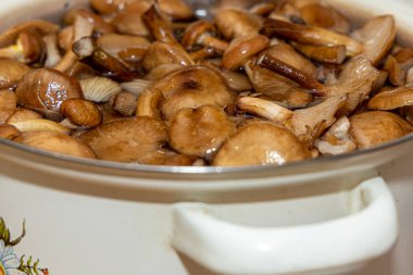 Seramik tabakta lezzetli ballı mantarlar. Kasede bal mantarı (Armillaria mellea) mantarları var. Seçici odaklanma. Yüzeyin derinliği. Tencerede mantarlar..