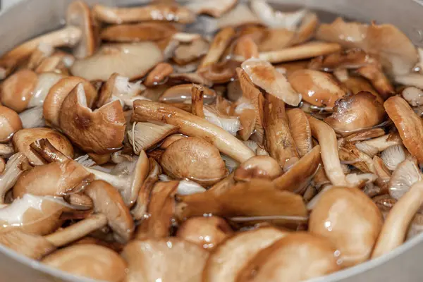 Seramik tabakta lezzetli ballı mantarlar. Kasede bal mantarı (Armillaria mellea) mantarları var. Seçici odaklanma. Yüzeyin derinliği. Tencerede mantarlar..