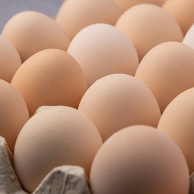 Sıraya dizilmiş kahverengi yumurtalar. Karton kasette bir grup taze beyaz yumurta. Doğadan gelen organik gıdalar sağlık için iyidir..