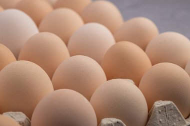 Sıraya dizilmiş kahverengi yumurtalar. Karton kasette bir grup taze beyaz yumurta. Doğadan gelen organik gıdalar sağlık için iyidir..