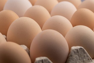 Sıraya dizilmiş kahverengi yumurtalar. Karton kasette bir grup taze beyaz yumurta. Doğadan gelen organik gıdalar sağlık için iyidir..