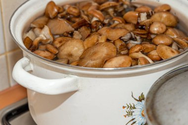 Seramik tabakta lezzetli ballı mantarlar. Kasede bal mantarı (Armillaria mellea) mantarları var. Seçici odaklanma. Yüzeyin derinliği. Tencerede mantarlar..