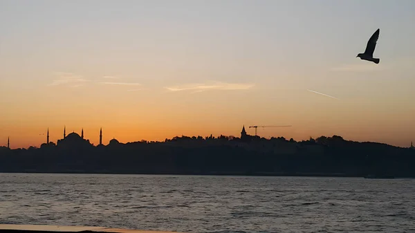 Istanbul Dinde Mouettes Volant Sur Eau Navire Est Sur Mer — Photo