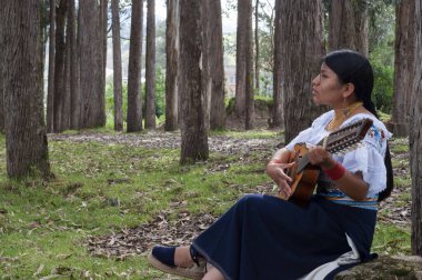 Kameraya profil olarak mandolin çalan geleneksel elbiseli güzel Latin kadının fotokopi uzayı. Yüksek kalite fotoğraf