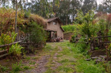 Hayvanlarla, meyve bahçeleriyle, uzun ağaçlarla ve bir sürü bitkiyle çevrili bir kırsal sığınak. Turizm günü. Yüksek kalite fotoğraf