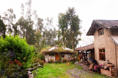 Doğayla çevrili kırsal turizm merkezi, dev ağaçlar ve solumak için çok saf hava. Turizm günü. Yüksek kalite fotoğraf