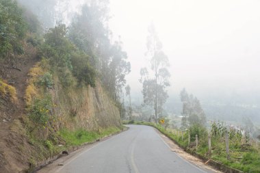 Resmedilmeye değer ve dingin bir yol sisli dağların arasında dolanıyor, güzel bir şekilde okaliptüs ağaçlarıyla kaplı.