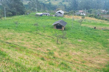 Güzel bir kırsal manzara, büyüleyici evler yemyeşil tarlalar ve hoş çayırlar arasında.