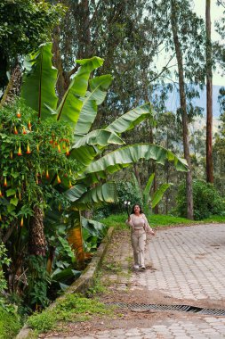 Atmosferi güzelleştiren canlı yapraklarla çevrili taştan bir yolda yürüyen bir kadının huzurlu bir sahnesi.
