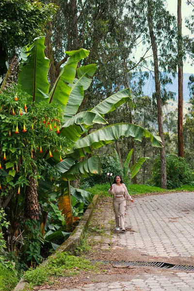 Atmosferi güzelleştiren canlı yapraklarla çevrili taştan bir yolda yürüyen bir kadının huzurlu bir sahnesi.