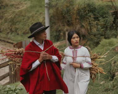 İki çiftçi, canlı geleneksel Andean giysileri içinde, sırtlarında taze toplanmış kinoa tomarları taşırken, pitoresk bir kırsal alanda yürüyorlar.