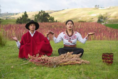 İki And 'lı çiftçi, kinoa tarlasında meditasyon pozisyonunda oturuyor, el ele tutuşuyor ve And Dağlarında başarılı bir hasat kutluyorlar.