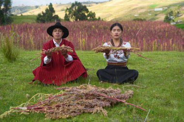 İki çiftçi, ekvatorun And Dağları 'nda yetişen kırmızı kinoa ekinlerine karşı toplanmış kinoaları gösteriyor.