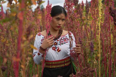 Geleneksel kıyafetlerle süslenmiş yerli bir kadın, canlı bir kinoa tarlasında gururla duruyor, rengarenk saplarını nazikçe okşuyor, mirası ve topraklarıyla bağ kuruyor.