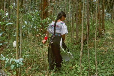 Geleneksel kıyafetler giyen yerli bir kadın yemyeşil bir ormanda yürüyor ve zengin kültürel mirası ve doğayla bağlantısını sergiliyor.