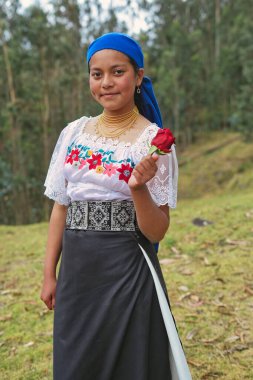 Geleneksel işlemeli bluz, dokuma kemer ve mavi başörtüsü giyen yerli bir otavalo kadını, ekvador kültürü ve And Hanedanı 'nın mirasını temsil eden tek bir kırmızı gül tutuyor.