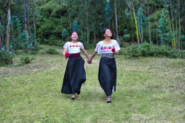 Geleneksel Andean giysileri giyen iki güler yüzlü ekvator kızı ağaçlarla çevrili bir alanda el ele tutuşup yürüyorlar, ellerinde kırmızı güllerle.