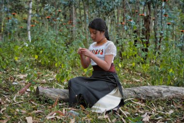 Canlı Andean kıyafetleri içinde genç bir kız, bir ağaç gövdesinde oturuyor ve dingin bir ormanda renkli çiçeklerle şakalaşıyor.