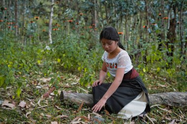 Geleneksel kıyafetler giyen genç bir kız, ormanda çömelmiş, yere dokunuyor yemyeşil bitki örtüsü ve turuncu çiçeklerle çevrili.