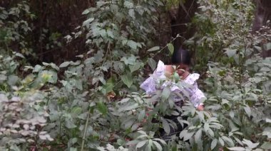 Yerli bir kadın geleneksel kıyafetlerle gür ormanlarda yürüyor.