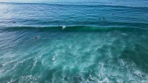 サーフボードライドでサーファー夏の青い海で完璧な波 空中降下 — ストック動画